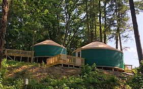 Circle M Camping Resort 16 Ft. Yurt 1